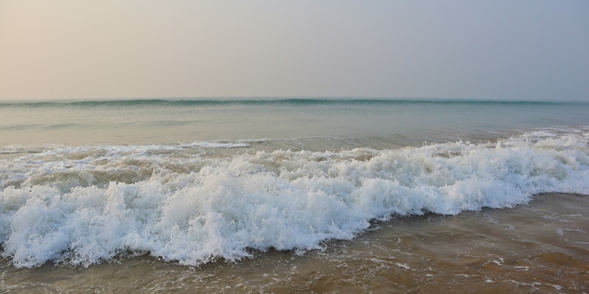 Best Beaches In Odisha You Must Check Out On Your Trip Tripxl