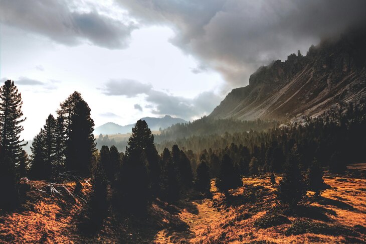 5 Adventure Sports In Dharamshala That Will Calm Down Your Adrenaline Rush!
