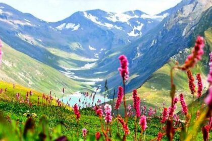 Beautiful landscape of a valley- one of the best places to visit in Kashmir in May.