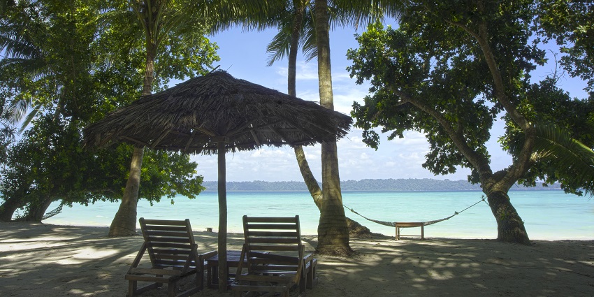 Chairs under trees and a bamboo shade on a beachside in Andaman and Nicobar Islands.