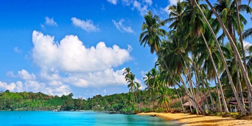 The tranquil blue waters and green forests make the beaches in Andaman ideal for sunbathing