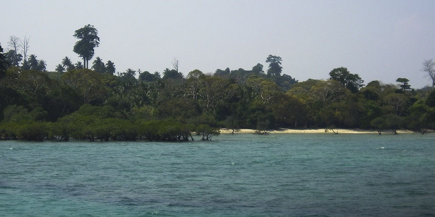 The turquoise waters of Neil Island with dense green forest in the background in Andaman.