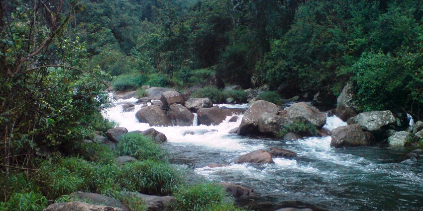 Edakkanam Waterfalls should be on your list of waterfalls in Kasargod that are worth visiting