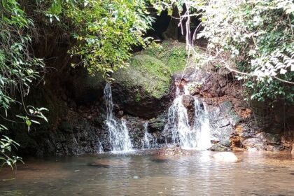 Kasaragod waterfalls are an ideal place to enjoy the scenic beauty and stunning views