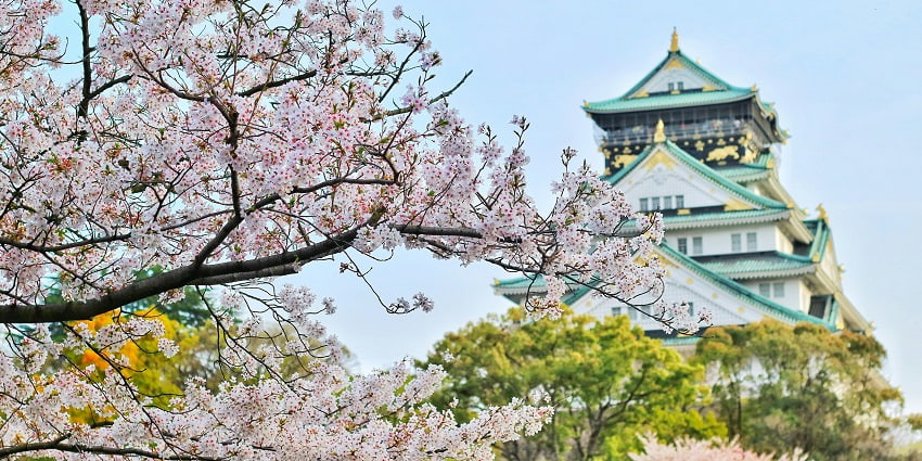 Japan is one of the places to visit in the world in April where you can view the cherry trees