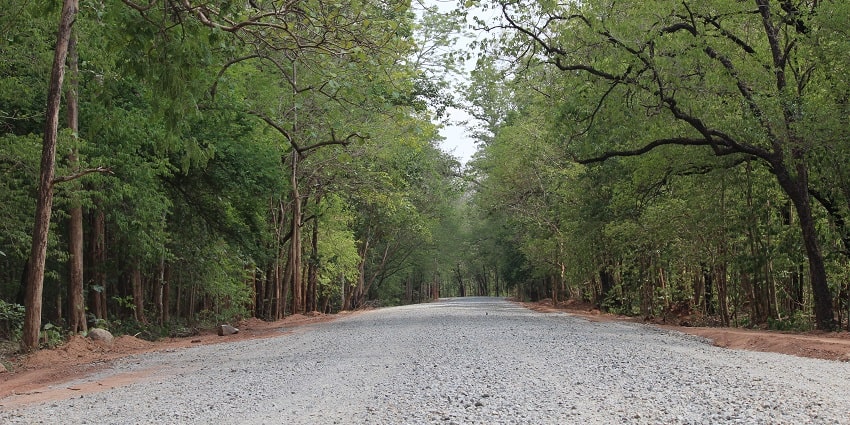 The best time to visit this sanctuary is from March to May when the weather is pleasant