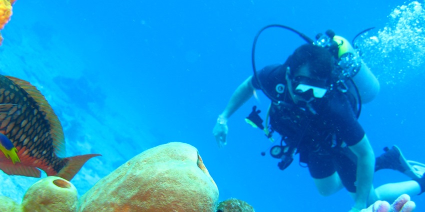 cuba diving, a must try sport for all the adventure seekers who are planning their next vacation.