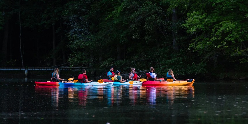 View of a group of people on a kayak boat exploring the surrounding green areas