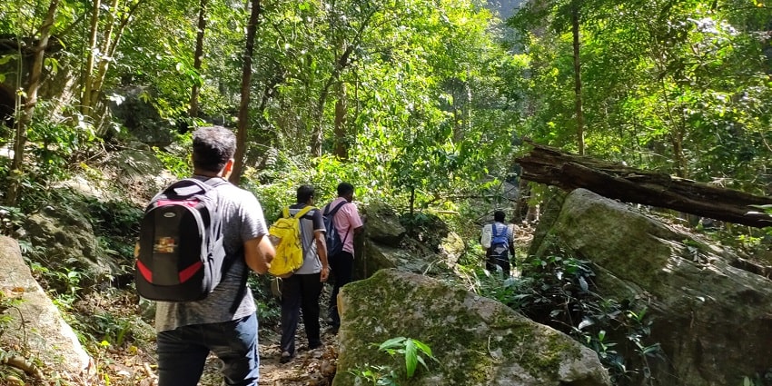Explore the trekking trails at this wildlife sanctuary to uncover natural scenic beauty