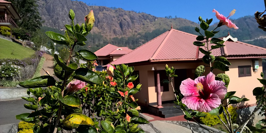 Enjoy a comfortable stay at a homestay or hotel near Lakkam Waterfalls in Kerala