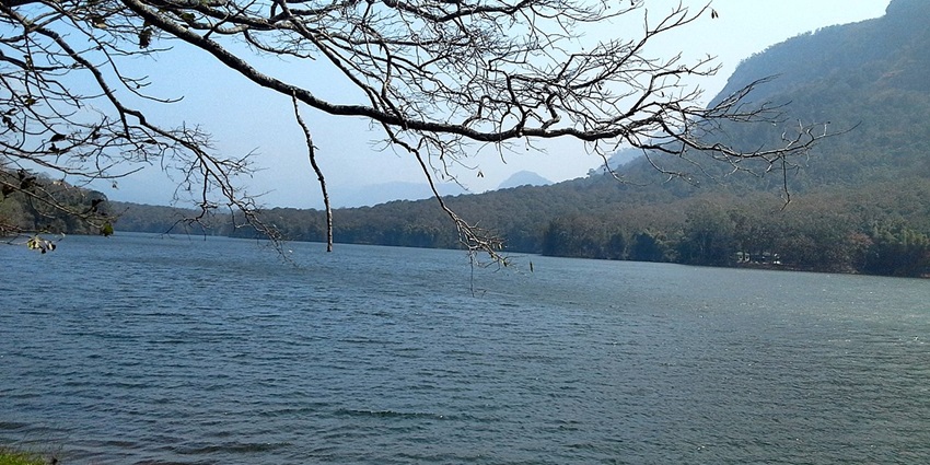 The Parambikulam wildlife sanctuary also has a lake nearby that offers expansive views