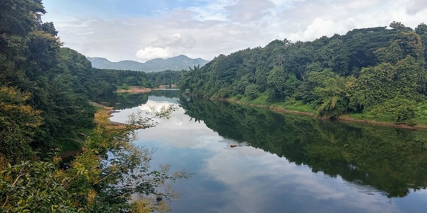 10 Best Places To Visit In Nilambur For Nature Enthusiasts - TripXL