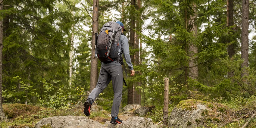 Trek through the forests of Saddle Peak National Park and witness the diverse flora.