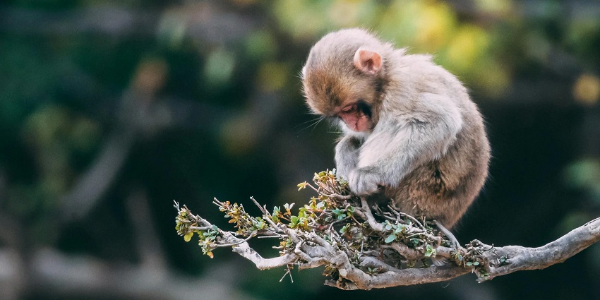 Capture some stunning views of landscapes or endangered species in a wildlife sanctuary.