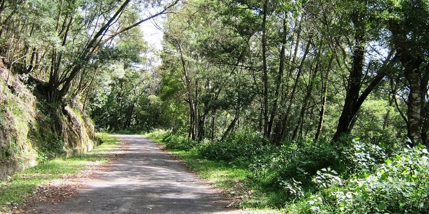 Parambikulam National Park is located in a forested area in Palakkad district in Kerala