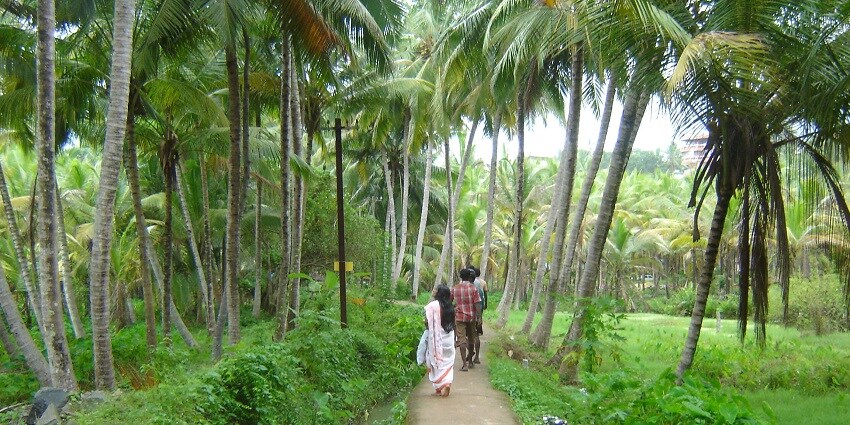 Go on a guided walk around the villages of this lake as part of the things to see near Ashtamudi Lake