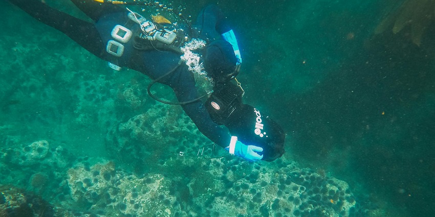 View of a person diving underwater at Havelock Island to view the coral and fish population