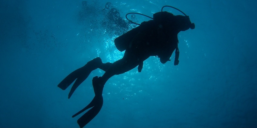 Scuba diving is one of the best things to do in North Button Island National Park.