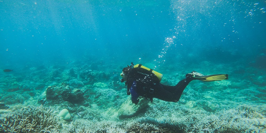 Do try snorkelling to explore marine creatures in the Landfall Island Wildlife Sanctuary.