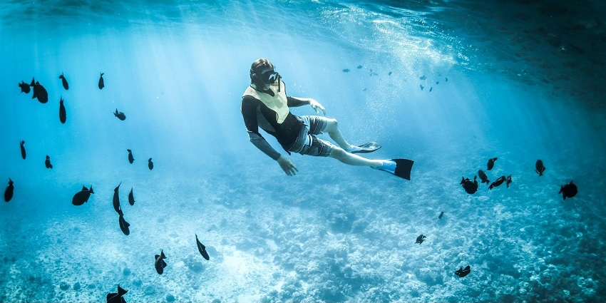 If you are visiting North Button Park, snorkelling is a must-try activity to experience.
