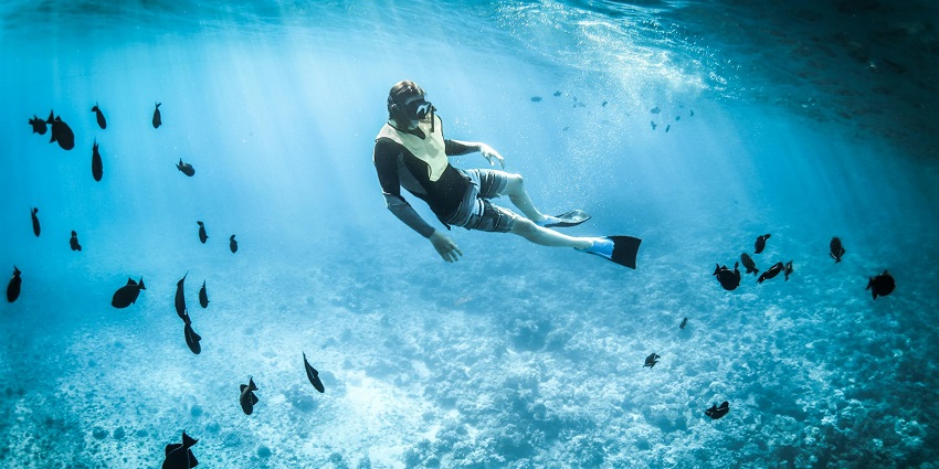 An image of a person snorkelling to uncover the vibrant marine life and corals underwater