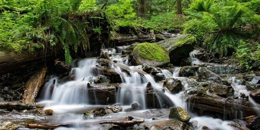 Keezharkuthu Waterfalls is one of the most visual and famous waterfalls in Ernakulam