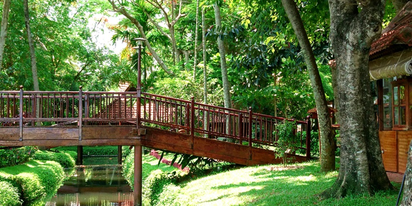 Choose from the best of hotels and resorts for a relaxing sojourn in Idukki, Kerala.