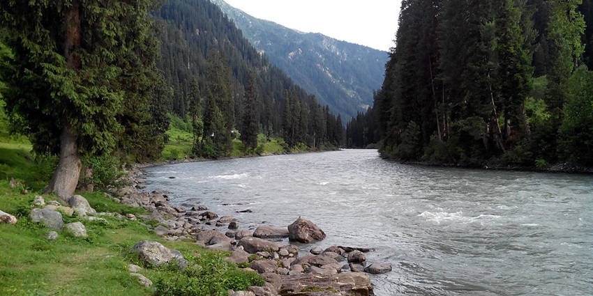 A beautiful river along the lush mountains in Jammu and Kashmir with forests in the backdrop