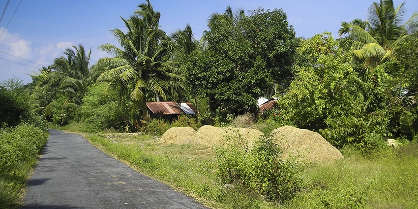 A road with greenery on each side and a small hut in sight, leading to Neil Island.