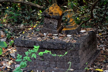 A sacred space for snakes in Kerala where ancient rituals are performed to seek blessings