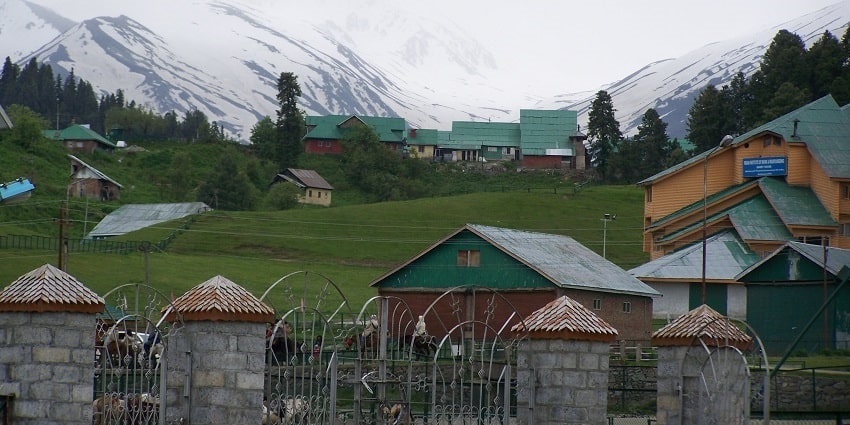 Khilanmarg is one of the top tourist spots that is located 6 kms away from Gulmarg