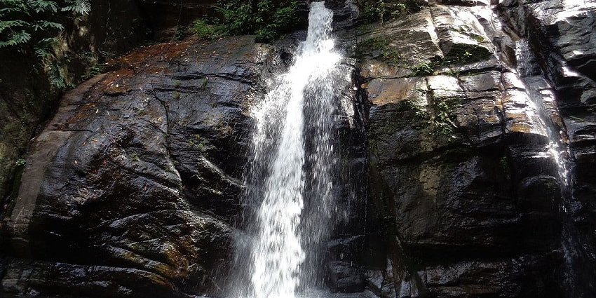 This waterfall in Ponmudi, Kerala is located in the heart of the green Western Ghats