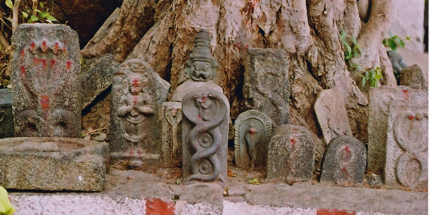Vetticode Aadimoolam Sree Nagarajan Temple is one of the oldest Nagaraja temples in Kerala