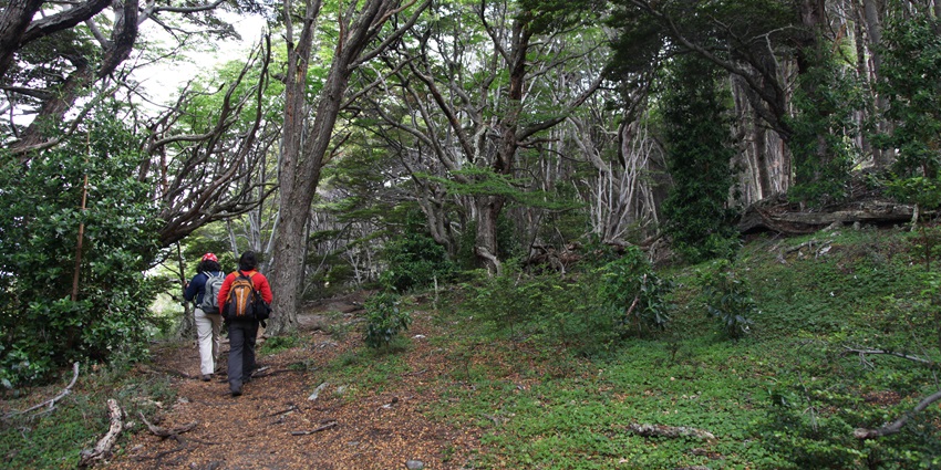 Trek across this national park’s scenic landscapes that are filled with flora & fauna