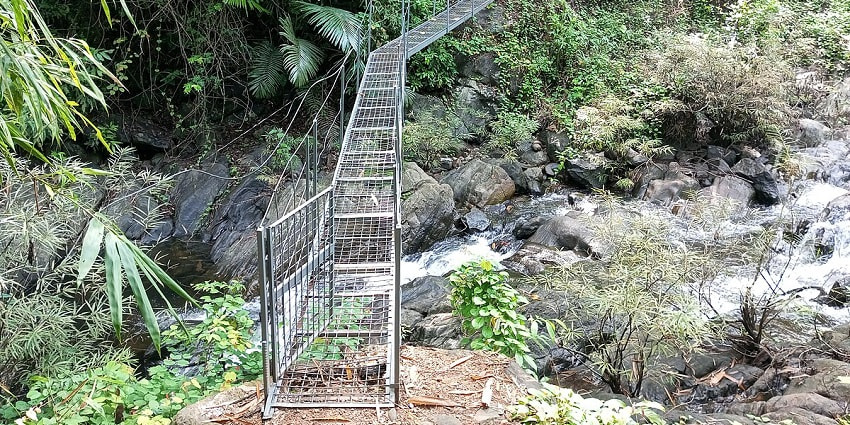 Go trekking along the Kabini jungles to enjoy a view of the delicate ecosystem and biodiversity