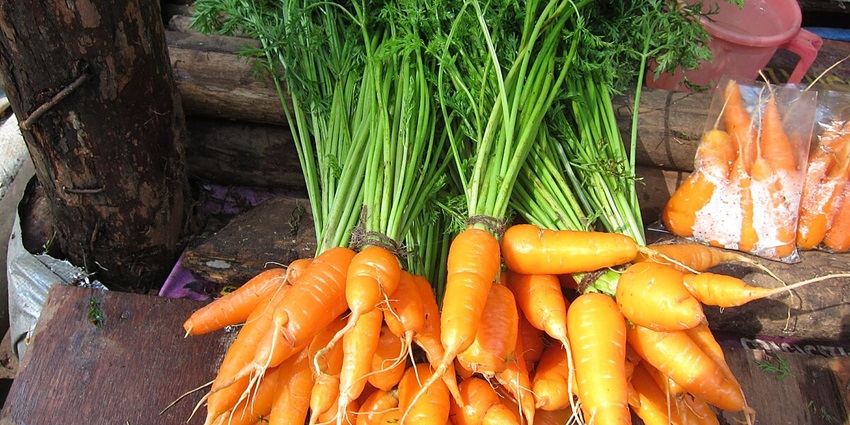 Pick up vegetables and fruits like coconuts and bananas at the Munnar Vegetable and Fruit Market in Kerala