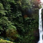 Known for their breathtaking natural beauty, waterfalls in Bali are a delight to visit.