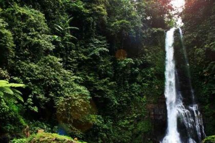 Known for their breathtaking natural beauty, waterfalls in Bali are a delight to visit.