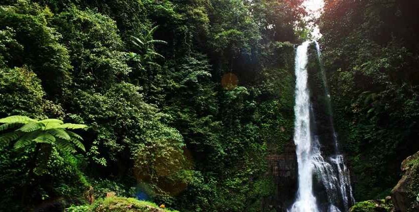 Known for their breathtaking natural beauty, waterfalls in Bali are a delight to visit.