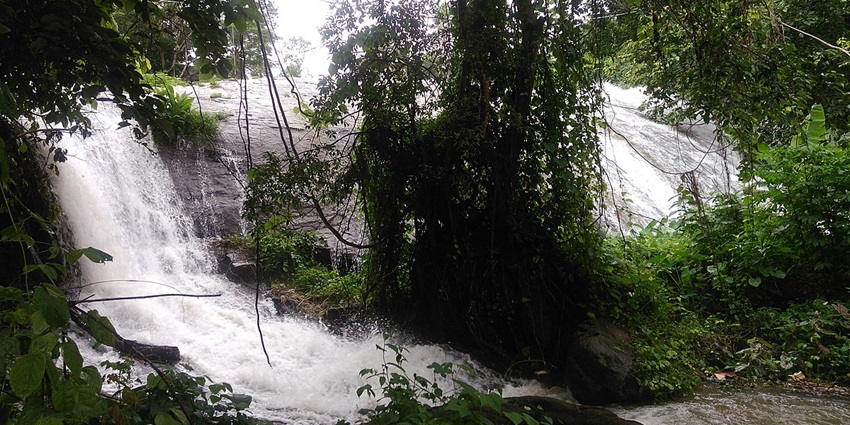 Pampanal Waterfalls is a nestled in the greenery of Munnar and is a majestic sight to behold