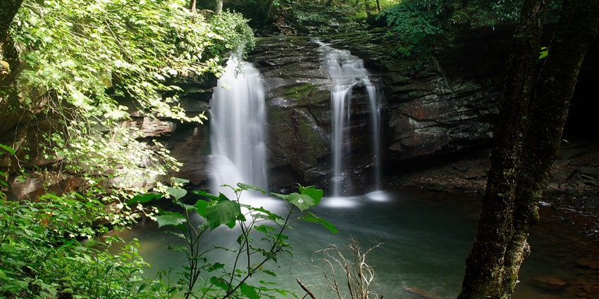 You can take Mankayam Waterfalls photos to capture scenic images of the diverse wildlife
