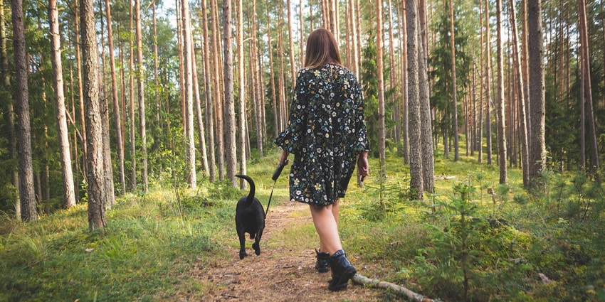 Enjoy serene nature walks while navigating through the attraction for an immersive experience.