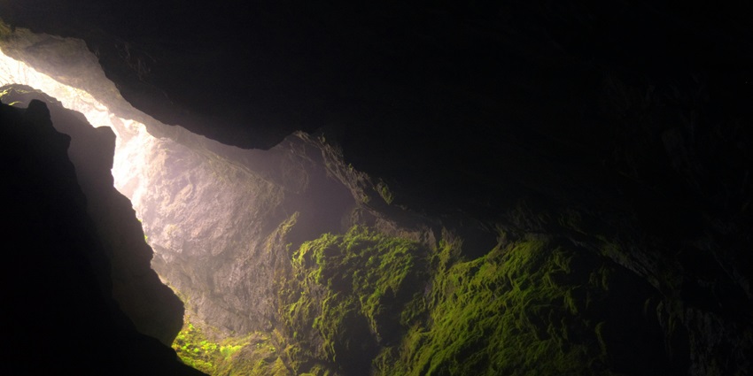 A mesmerising inside view of a cave covered in lush greenery during the daytime.
