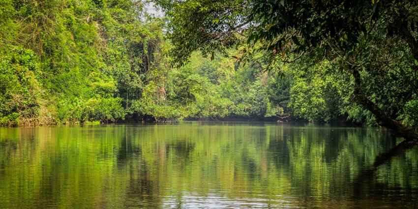 Adavi Eco-Tourism with drafting and an awesome greenery located in Pathanamthitta district of Kerala.