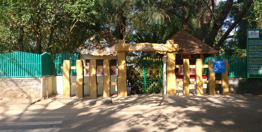 The entrance of an adventure park