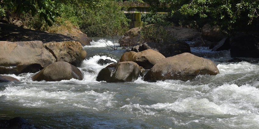 The Gushing waters of Adyanpara Falls are a thrilling sight to behold