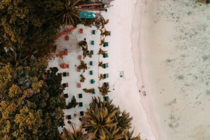 Aerial view of Andaman dotted with palm trees and chairs to soak up nature’s beauty.