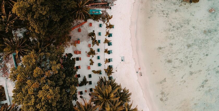 Aerial view of Andaman dotted with palm trees and chairs to soak up nature’s beauty.