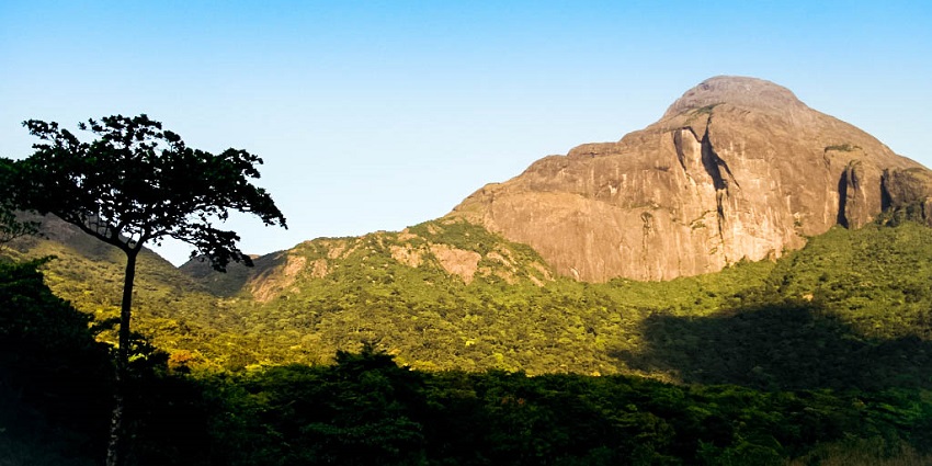 The Agasthyarkoodam Peak in Kerala is famous for its trekking trails and medicinal plants