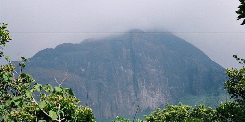 Watch out for various wildlife sanctuaries located in Agasthyamala Biosphere Reserve.